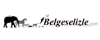 www.belgeselizle.com
