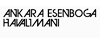 Esenboğa - www.esenbogaairport.com