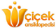 www.cicekansiklopedisi.com - Çiçek, bitki ve bahçeniz hakkındaki sorularınızı sorun, danışmanlar ücretsiz cevaplasın!...Çiçekler hakkında herşey...